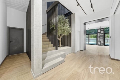 5 bedrooms Villa in The Villa, UAE No. 200912 18