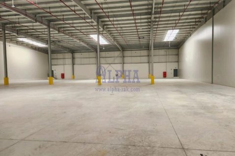 500m² Warehouse in Ras Al Khaimah, UAE No. 136198 5