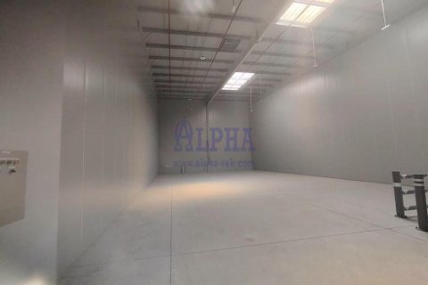 500m² Warehouse in Ras Al Khaimah, UAE No. 136198 12