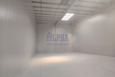 500m² Warehouse in Ras Al Khaimah, UAE No. 136198 7