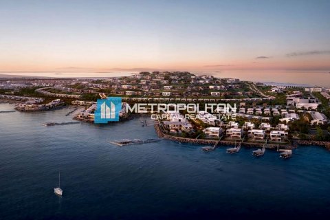 4 bedrooms Villa in Al Hudayriat Island, UAE No. 148996 4