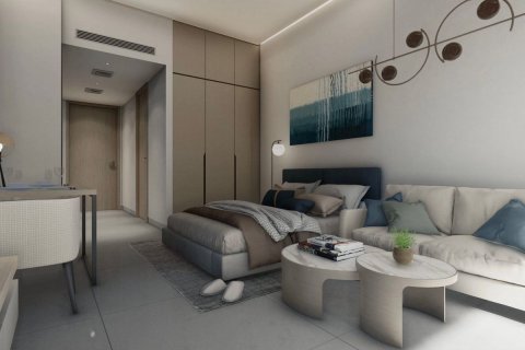 33.3m² Apartment  No. 125974 6
