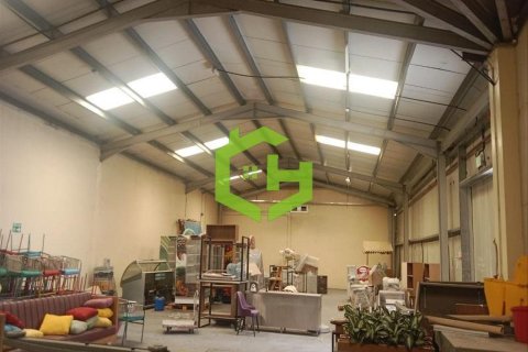 Loft de 371.6m² No. 105153 4