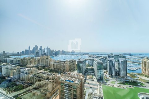 56مربع، شقة في The Palm Tower, الإمارات العربية المتحدة رقم 62095 26