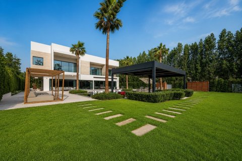 6 bedrooms Villa in Al Barari, UAE No. 199678 28