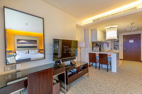 51.2m² Apartment in Downtown Dubai (Downtown Burj Dubai), UAE No. 163245 7