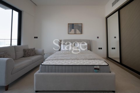 Appartement de Studio à BINGHATTI CANAL  No. 110029 3