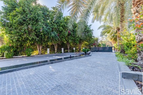 6 bedrooms Villa in Jumeirah Islands, UAE No. 194257 4