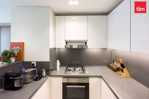 1 bedroom Apartment in Downtown Dubai (Downtown Burj Dubai), UAE No. 55205 9