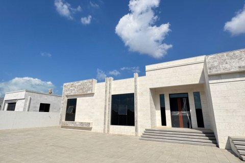 4 bedrooms Villa in Seih Al Uraibi, UAE No. 184129 10