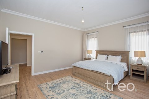 4 bedrooms Villa in Palma, UAE No. 199148 17