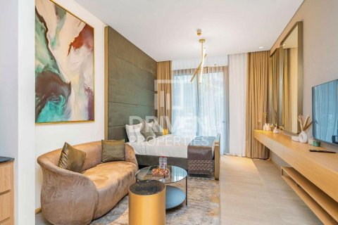 Studio Apartment in District 10, UAE No. 199504