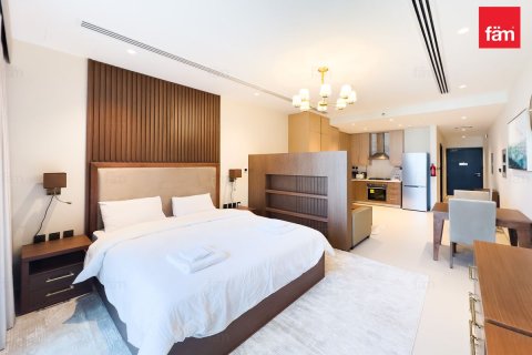 Studio Apartment in Downtown Dubai (Downtown Burj Dubai), UAE No. 145336