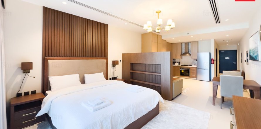 Studio Apartment in Downtown Dubai (Downtown Burj Dubai), UAE No. 145336