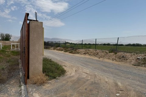 Недвижимость с 3 спальнями  №124498 12