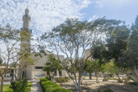 49مربع، شقة في Mediterranean, الإمارات العربية المتحدة رقم 186161 6