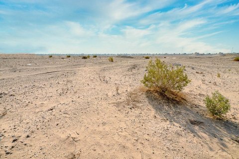 99999m² Land in Al Reef, UAE No. 10050 3