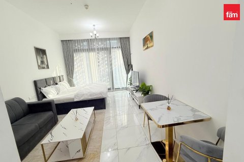 Studio Apartment in Dubai, UAE No. 203137