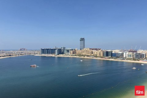 2 bedrooms Apartment in Dubai Harbour, UAE No. 145469 13