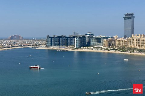 2 bedrooms Apartment in Dubai Harbour, UAE No. 145469 19