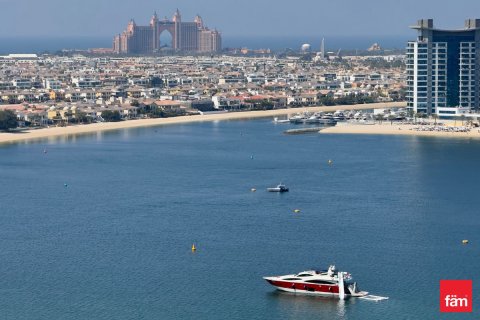 2 bedrooms Apartment in Dubai Harbour, UAE No. 145469 9