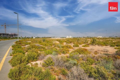 1001m² Land  No. 117668 5