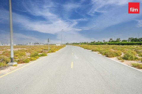 1001m² Land  No. 117668 10