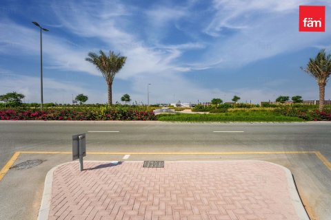 1001m² Land  No. 117668 8