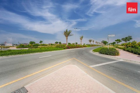 1001m² Land  No. 117668 7