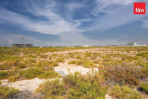 1001m² Land  No. 117668 4