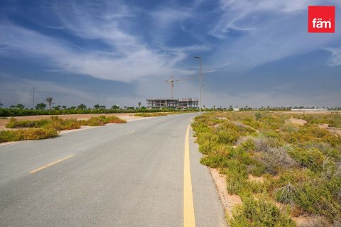 1001m² Land  No. 117668 15