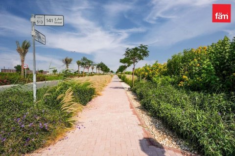 1001m² Land  No. 117668 11