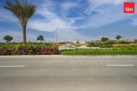 1001m² Land  No. 117668 9