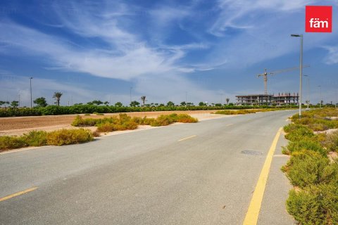 1001m² Land  No. 117668 3