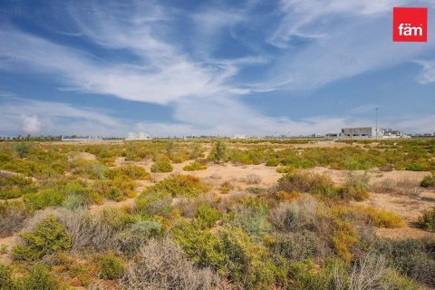 1001m² Land  No. 117668 6