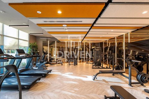 2 bedrooms Apartment in DAMAC Hills (Akoya by DAMAC), UAE No. 190118 27