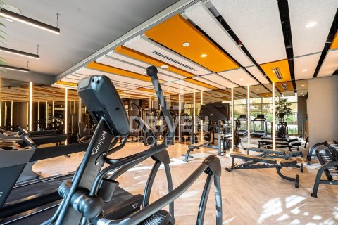 2 bedrooms Apartment in DAMAC Hills (Akoya by DAMAC), UAE No. 190118 23
