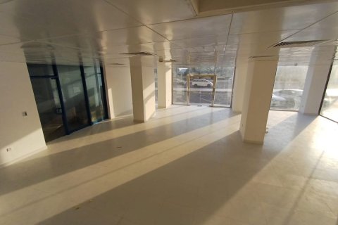 Commercial property de 399m² en Airport Road, UAE No. 79581 5