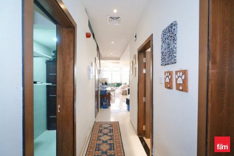 Villa de 3 dormitorios  No. 117037 11