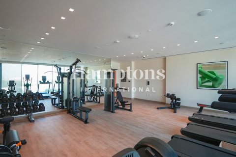 2 bedrooms Apartment in Mina Rashid, UAE No. 143141 16