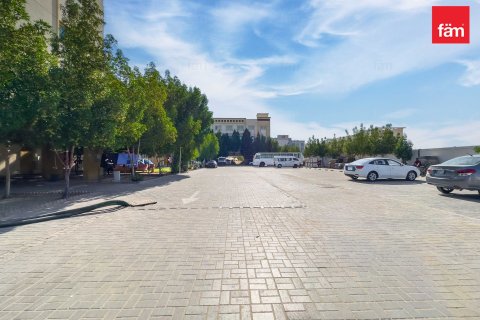 5459.7m² Properties  No. 131413 23