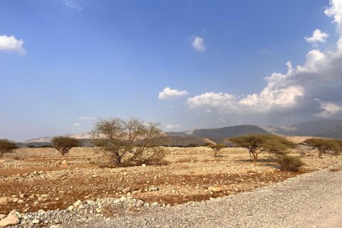 Land de 883m² à Seih Al Harf, UAE No. 172112 4