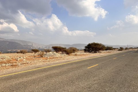 Land de 883m² à Seih Al Harf, UAE No. 172112 11