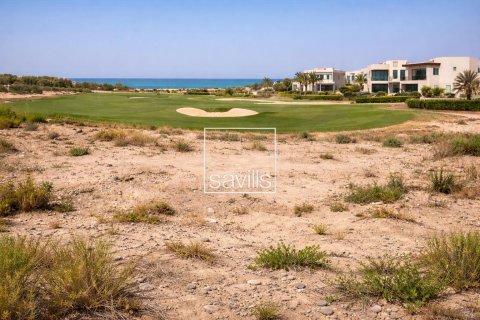 1926.99m² Land on the Saadiyat Island, UAE No. 194752 4