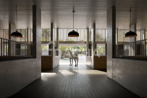 Villa de 4 dormitorios en Dubai Investment Park, UAE No. 155857 6