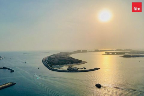 2 bedrooms Apartment in Dubai Harbour, UAE No. 185242 18