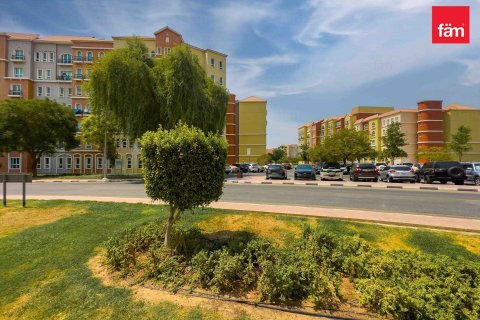 Appartement de 1 chambre  No. 109676 16