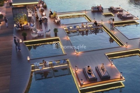 4 bedrooms Townhouse in The World Islands, UAE No. 152648 9