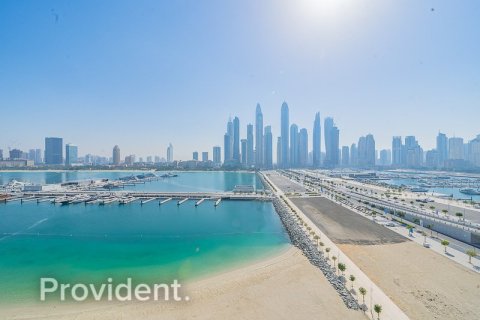 Appartement de 3 chambres à SUNRISE BAY Dubai Harbour, UAE No. 96000 26