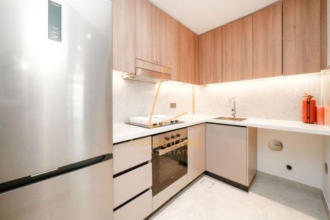 Studio Apartment in Dubai, UAE No. 200109 18